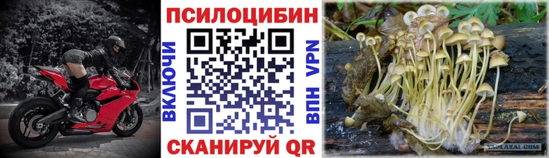 как найти наркотики  Мглин  Галлюциногенные грибы Magic Shrooms 